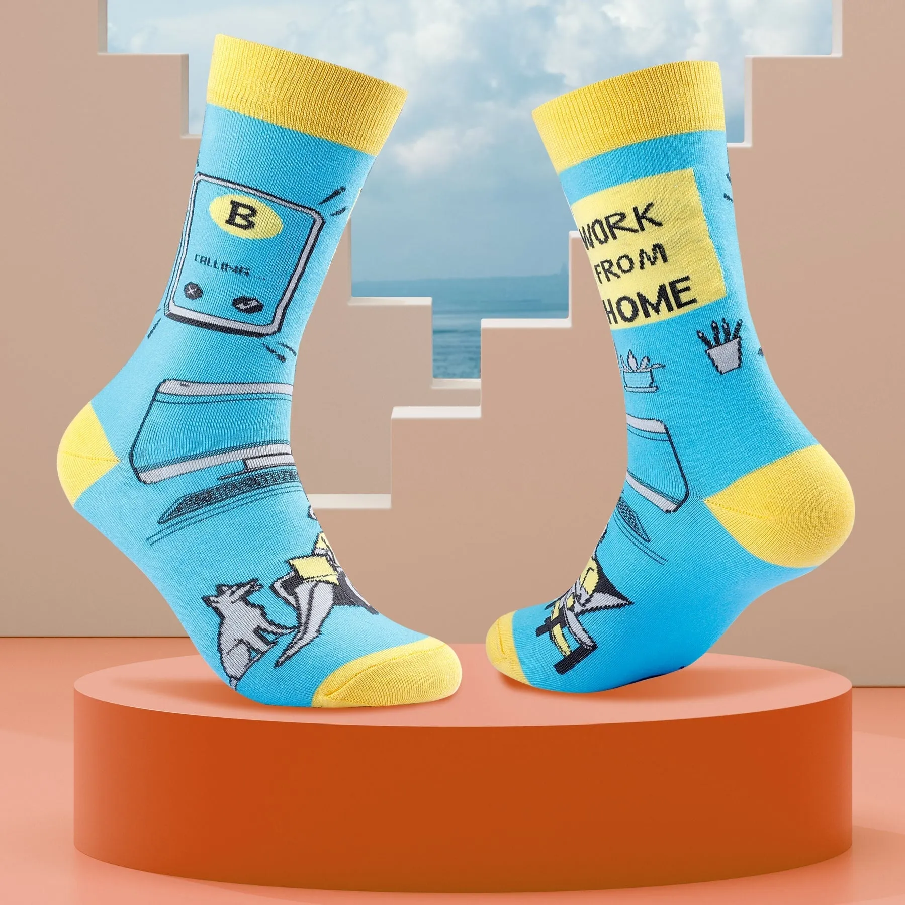 Bacca Bucci Combo of a 2 Pair Crew Length Socks