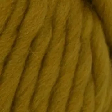 Crazy Sexy Wool - Bronzed Olive