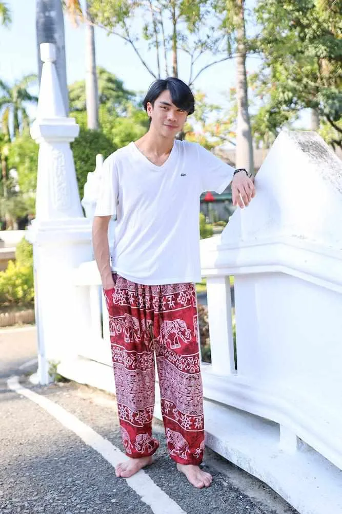 Elephant Printed HIPPIE PANTS MEN