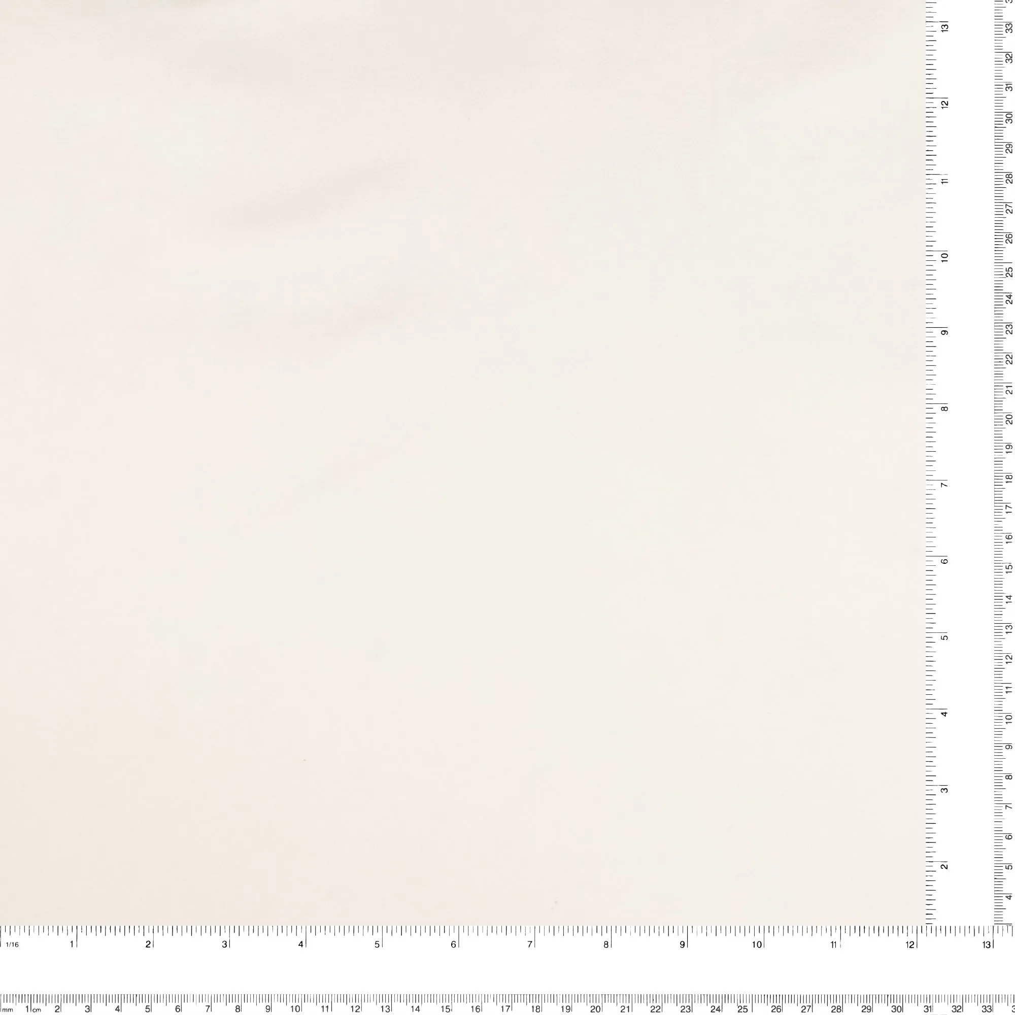 Stretch Suiting - BARBARA - 007 - White